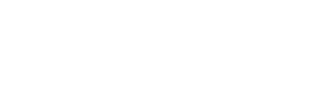 The Institute