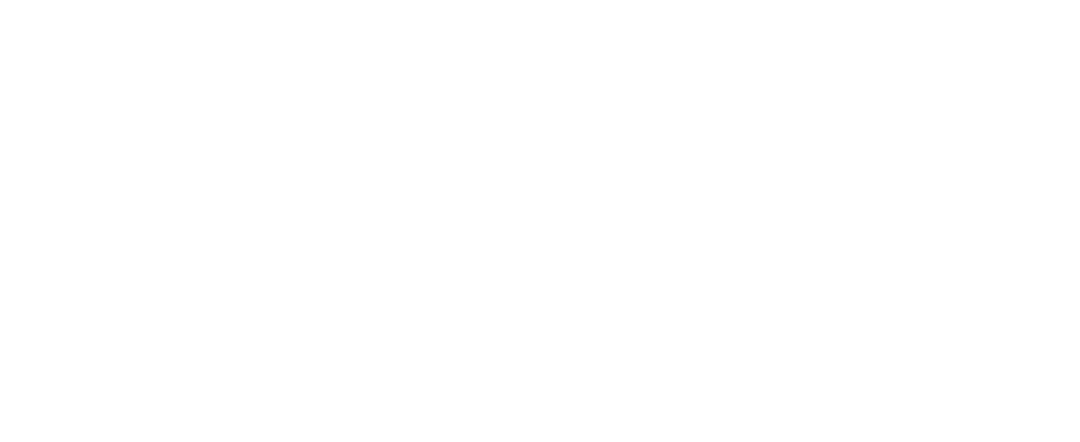 The Institute